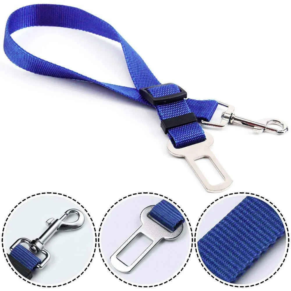 Détail de la sangle de sécurité DryyverPetSafe pour chien et chat - Attache en métal et sangle bleue