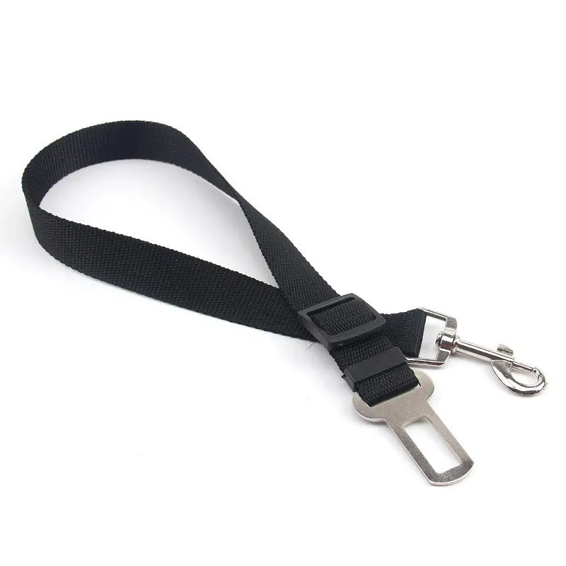 Sangle de sécurité DryyverPetSafe pour chien et chat - Couleur noir avec attache ceinture en métal