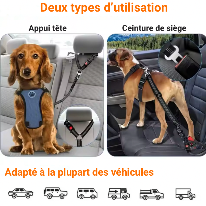 Harnais de sécurité DryyverPetSecure™ pour chien, utilisable avec appui-tête et ceinture de siège