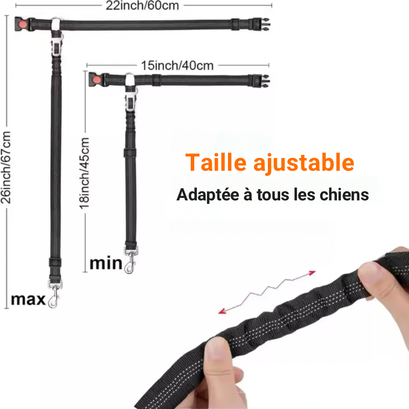 Harnais de sécurité réglable DryyverPetSecure™ pour chien, adaptable à toutes les tailles